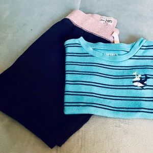 Carter's Teal Striped Top and Navy Shorts Set